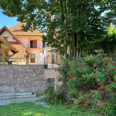 Espinal-Auzperri Casa Rural Roncesvalles מראה חיצוני תמונה